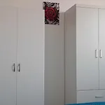 Cairoli's View