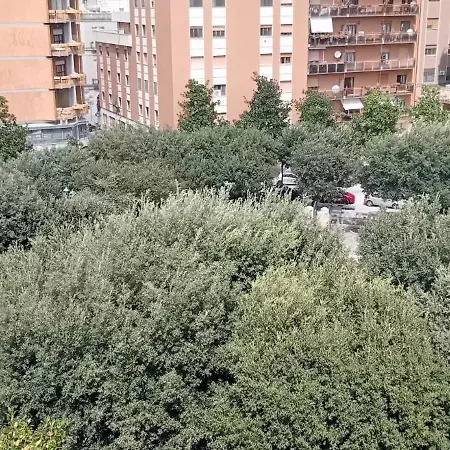 Cairoli's View 布林迪西